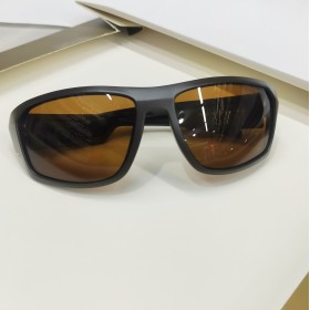 Чоловічі Polarized SL035 brown